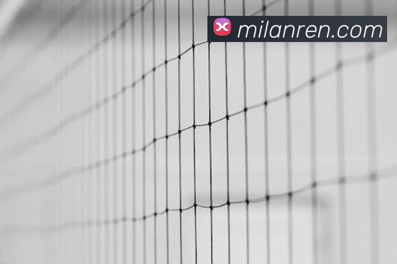 米兰milan官网服务体系
